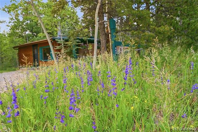 464 Long Trail Road Black Hawk, CO 80422