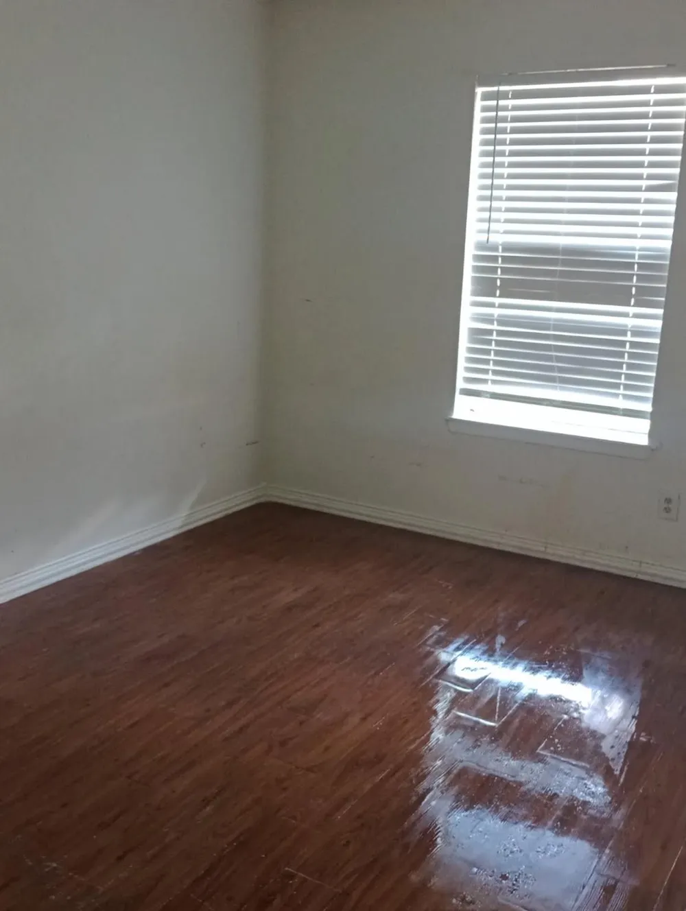 14411 Pine Street Santa Fe, TX 77517