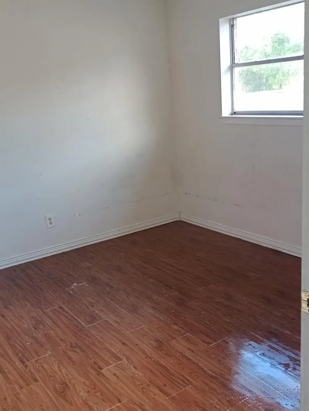 14411 Pine Street Santa Fe, TX 77517