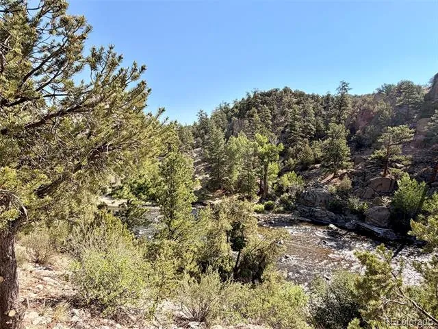 10795 County Road 197a #86 Nathrop, CO 81236