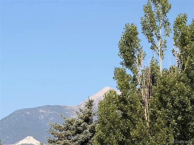 10795 County Road 197a #86 Nathrop, CO 81236