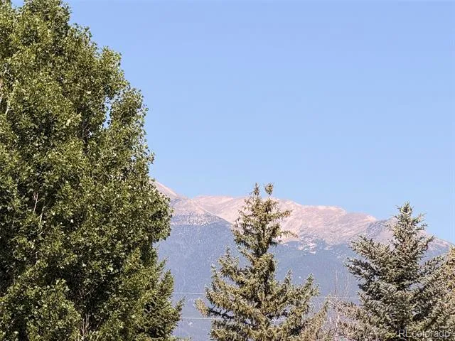10795 County Road 197a #86 Nathrop, CO 81236