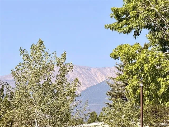 10795 County Road 197a #86 Nathrop, CO 81236