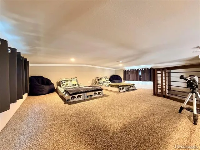 10795 County Road 197a #86 Nathrop, CO 81236