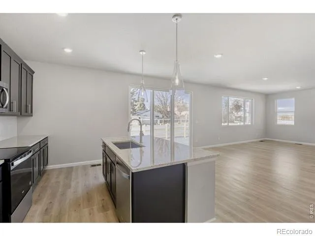 648 Noola Street Windsor, CO 80550