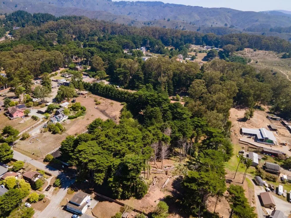 Ivy Montara, CA 94037