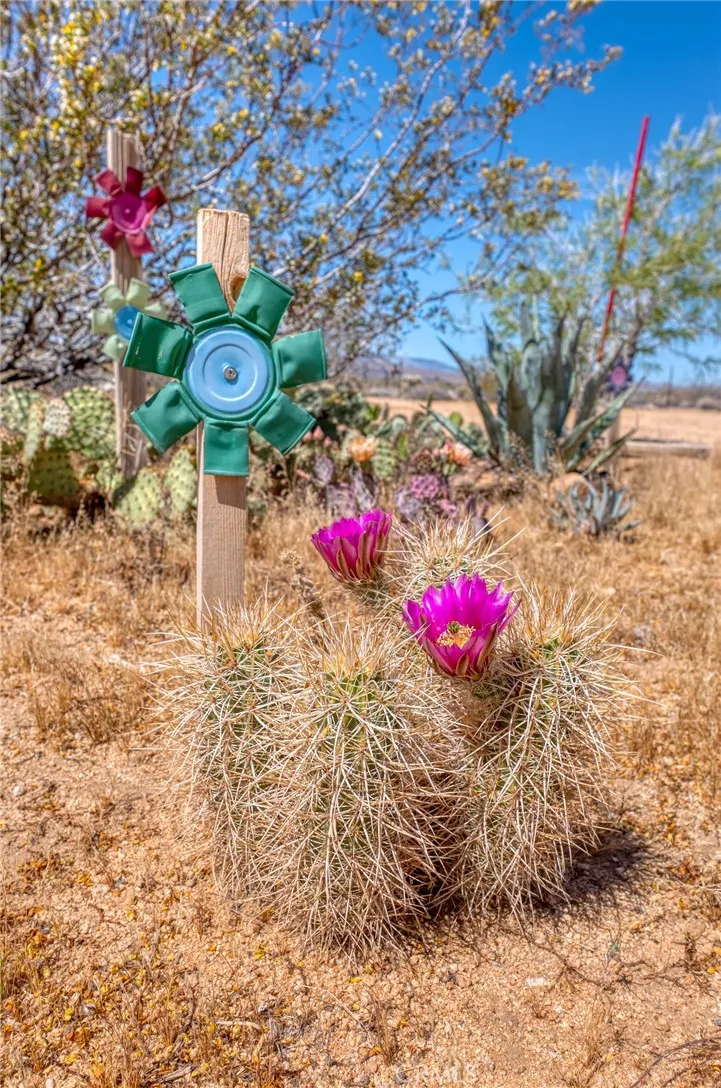 59025 La Brisa Yucca Valley, CA 92284
