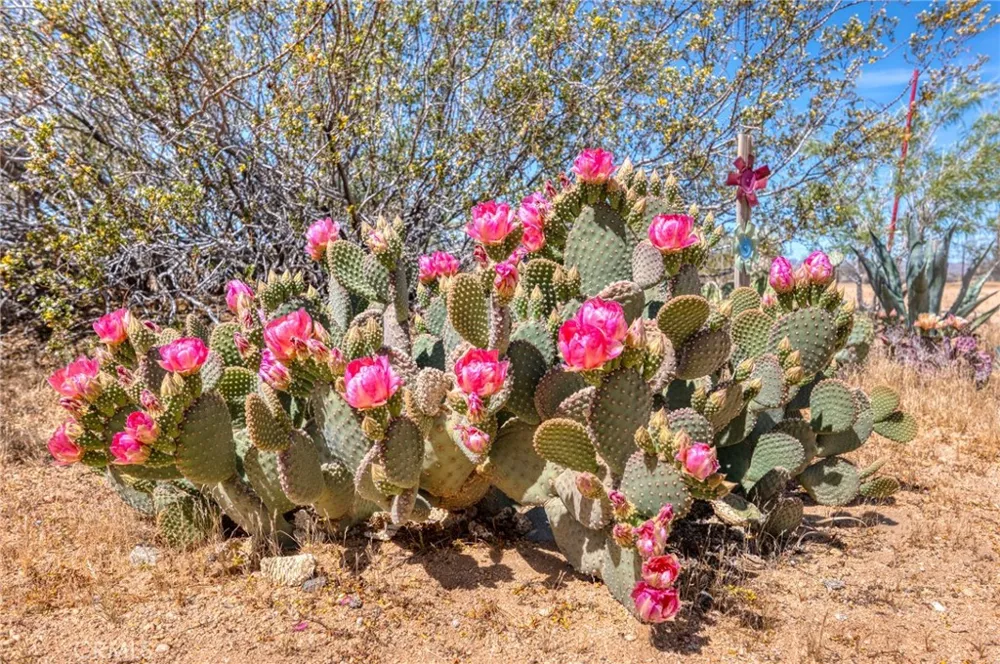 59025 La Brisa Yucca Valley, CA 92284