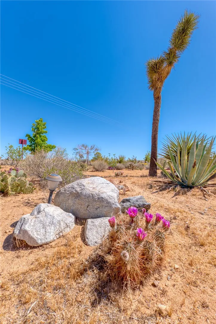 59025 La Brisa Yucca Valley, CA 92284
