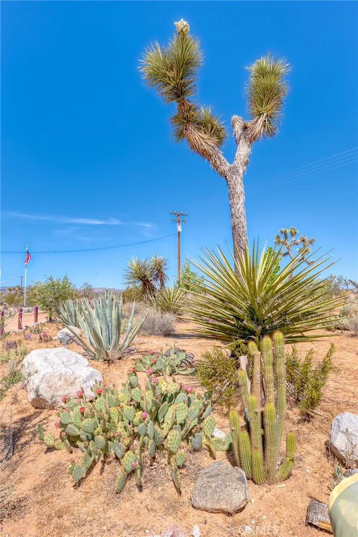59025 La Brisa Yucca Valley, CA 92284