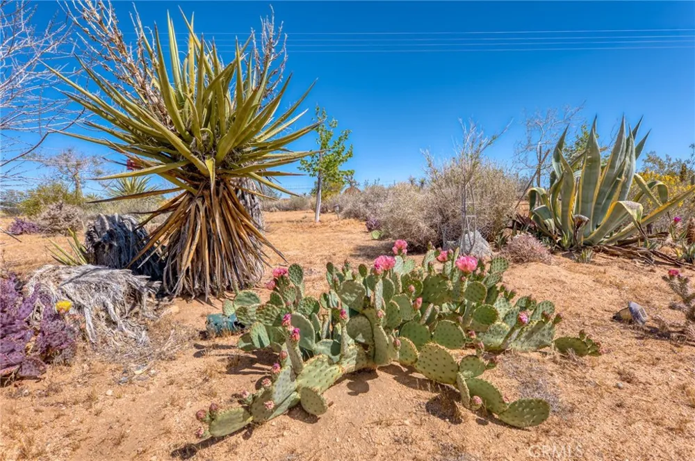 59025 La Brisa Yucca Valley, CA 92284
