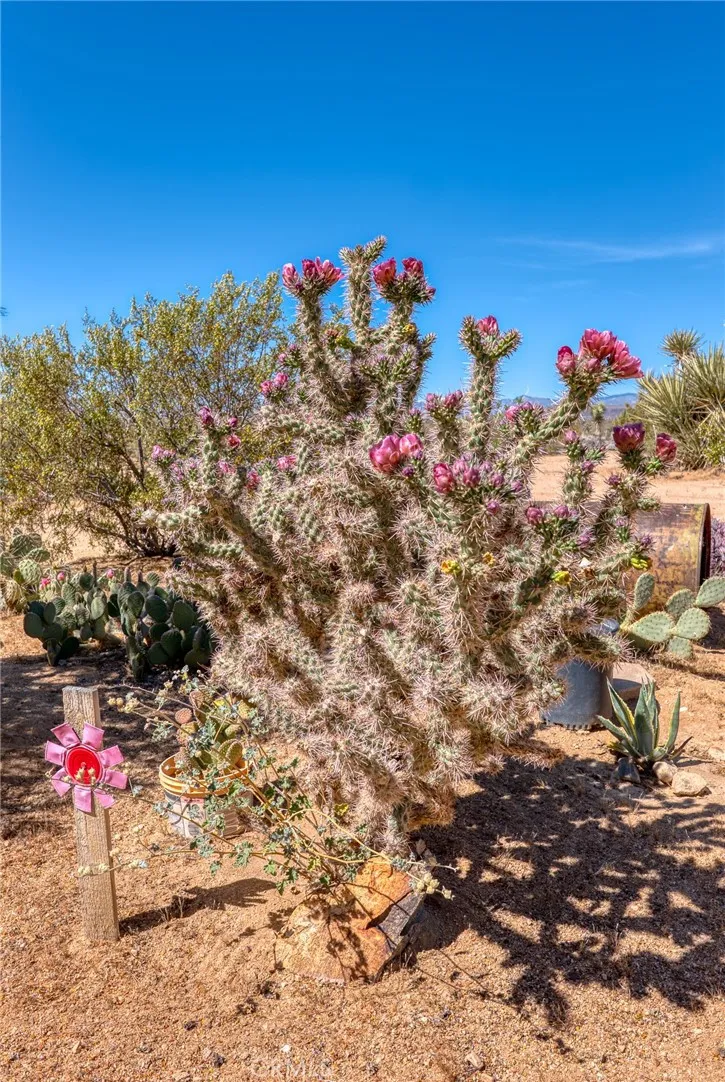 59025 La Brisa Yucca Valley, CA 92284