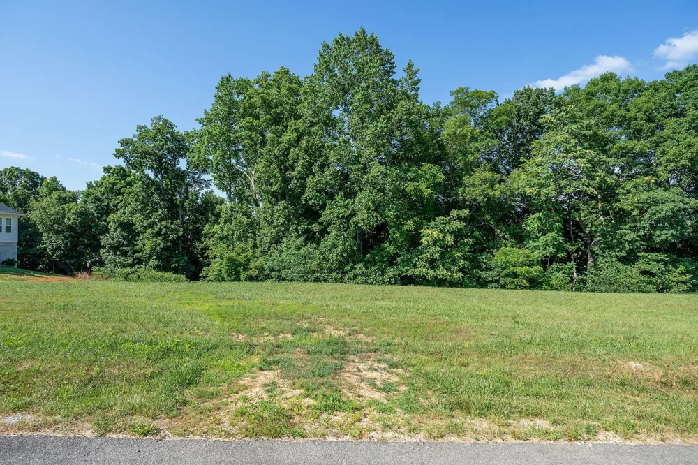 0 Meadowview Ln Smithville, TN 37166
