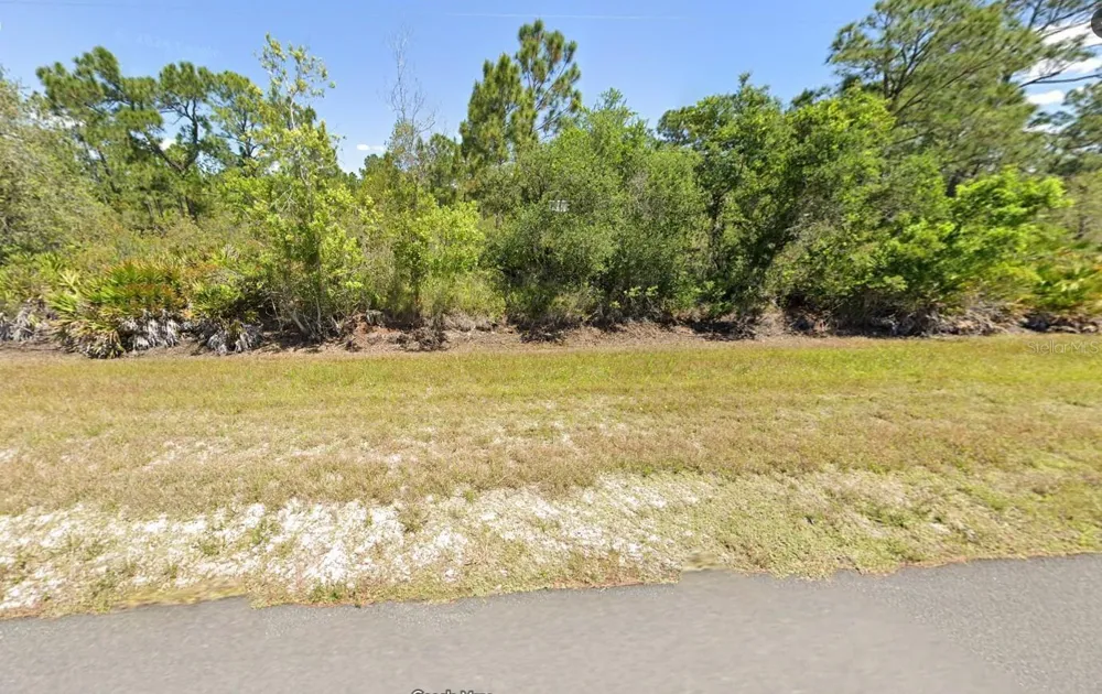 733 WASHINGTON BOULEVARD Lake Placid, FL 33852