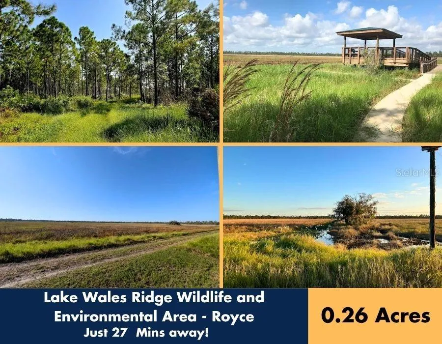 733 WASHINGTON BOULEVARD Lake Placid, FL 33852