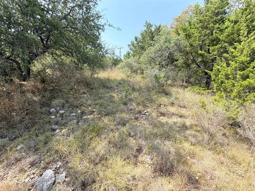 8204 Chestnut Cove Lago Vista, TX 78645