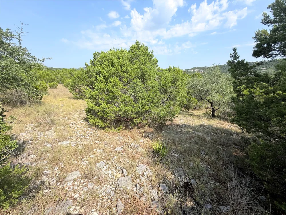 8204 Chestnut Cove Lago Vista, TX 78645