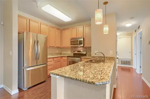 804 Summer Hawk Drive #4203