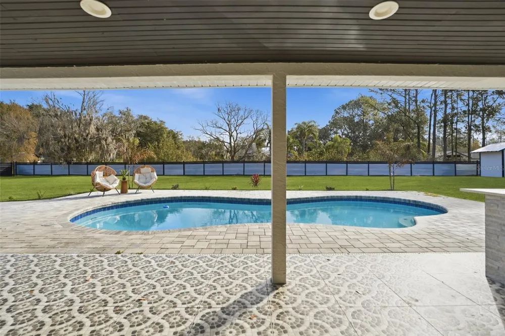 2338 MEADOWBROOK DRIVE Lutz, FL 33558