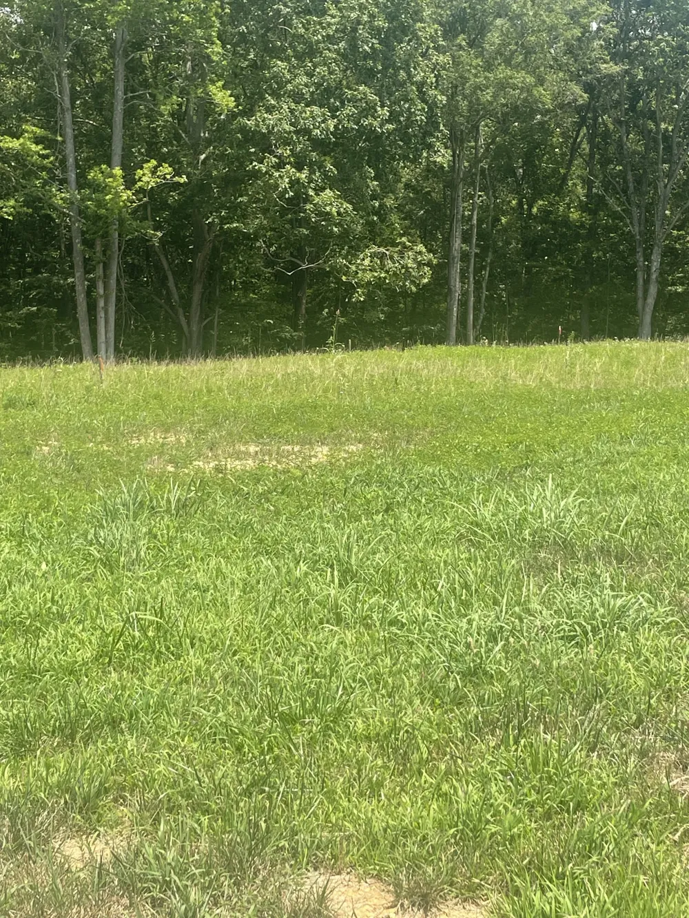 0 Summer Lake Winchester, TN 37398