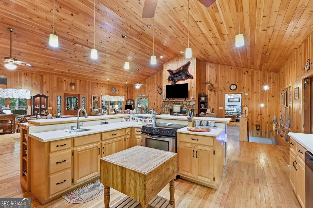 491 Jim Carter RD Clarkesville, GA 30523