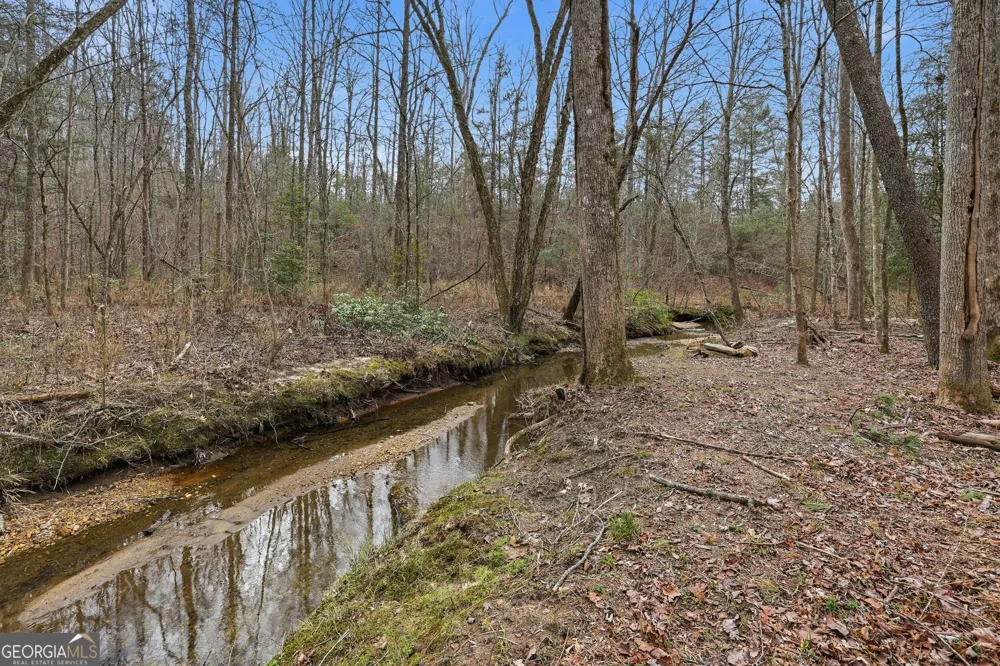 491 Jim Carter RD Clarkesville, GA 30523