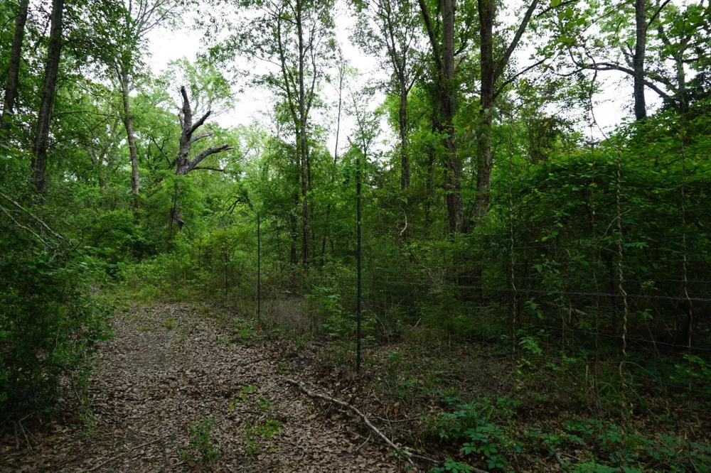 11919 County Road 1200 Malakoff, TX 75148
