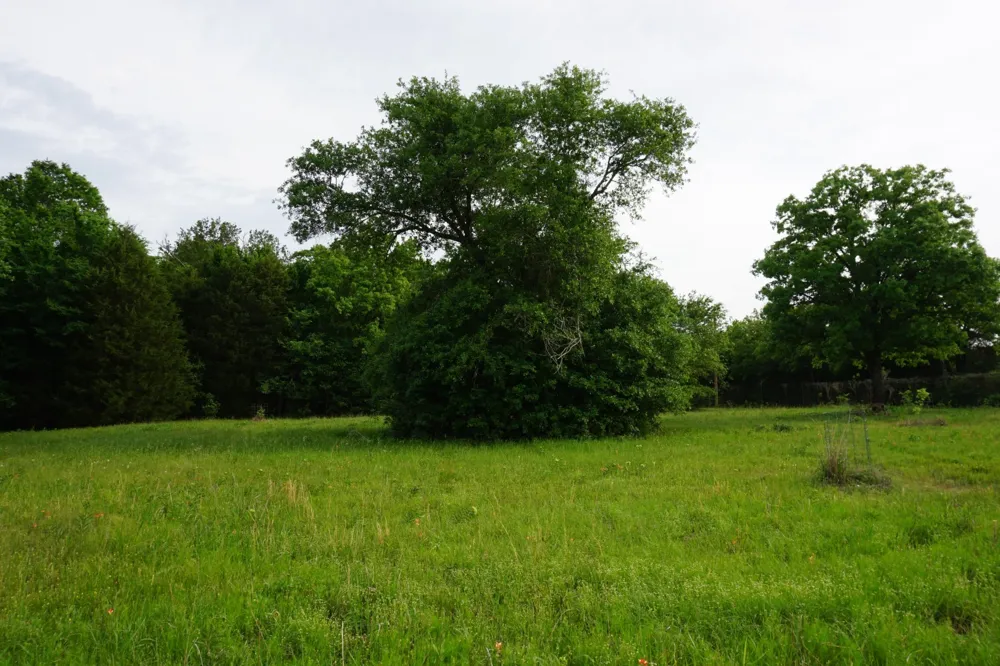 11919 County Road 1200 Malakoff, TX 75148