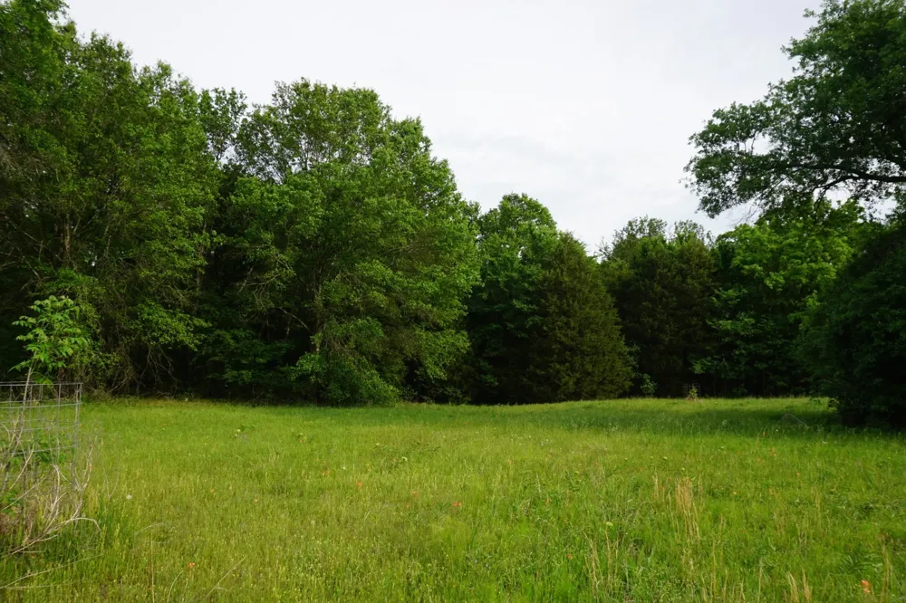 11919 County Road 1200 Malakoff, TX 75148