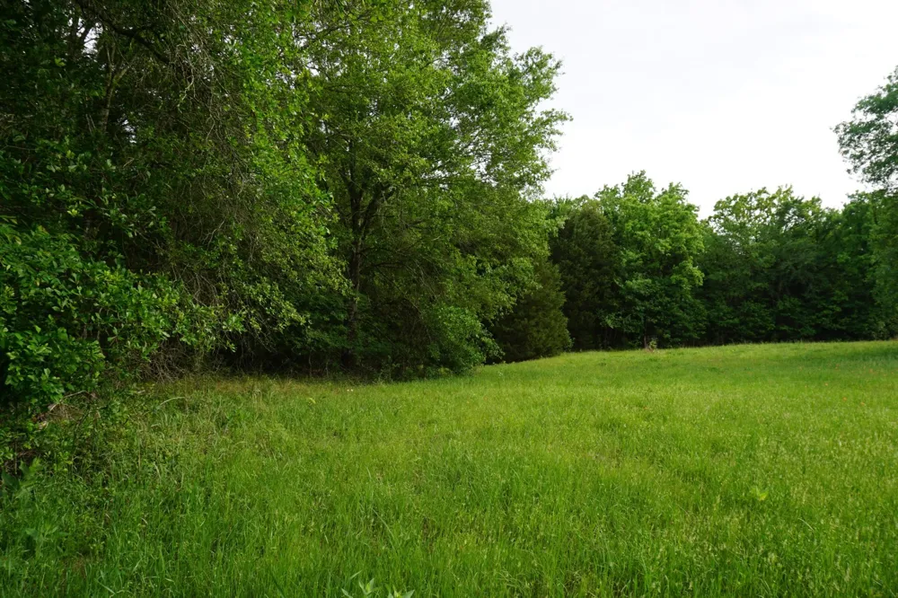 11919 County Road 1200 Malakoff, TX 75148
