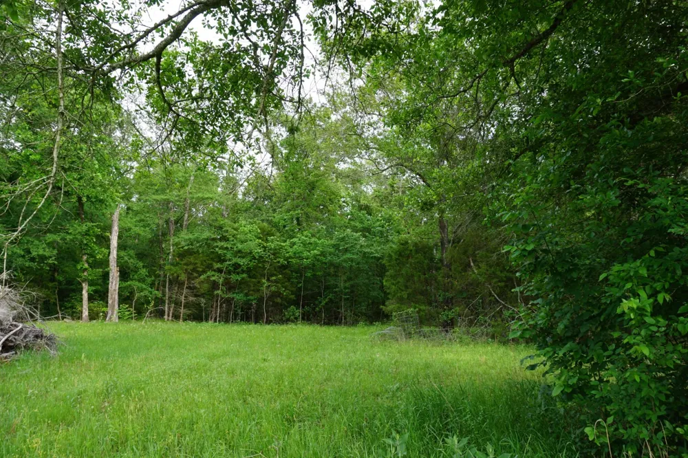 11919 County Road 1200 Malakoff, TX 75148