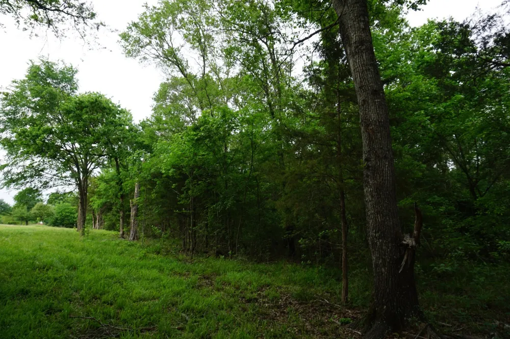 11919 County Road 1200 Malakoff, TX 75148
