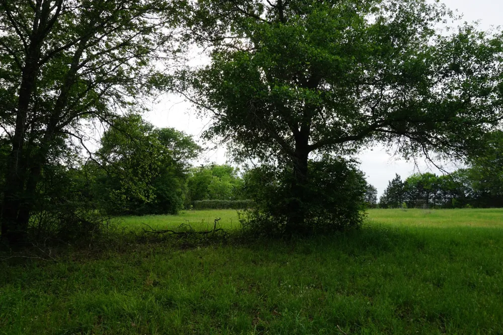 11919 County Road 1200 Malakoff, TX 75148