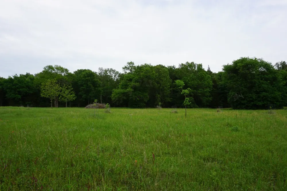 11919 County Road 1200 Malakoff, TX 75148