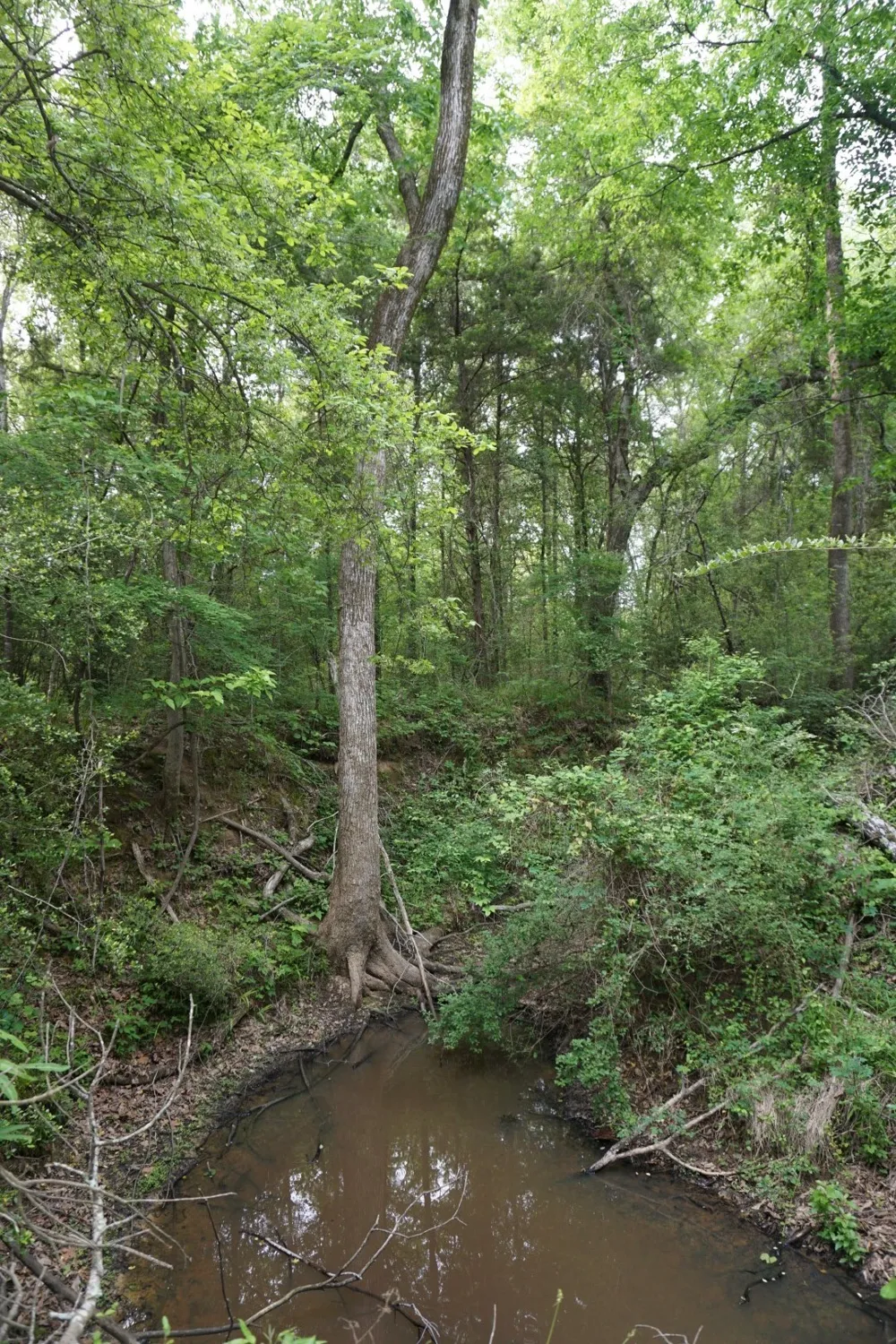 11919 County Road 1200 Malakoff, TX 75148