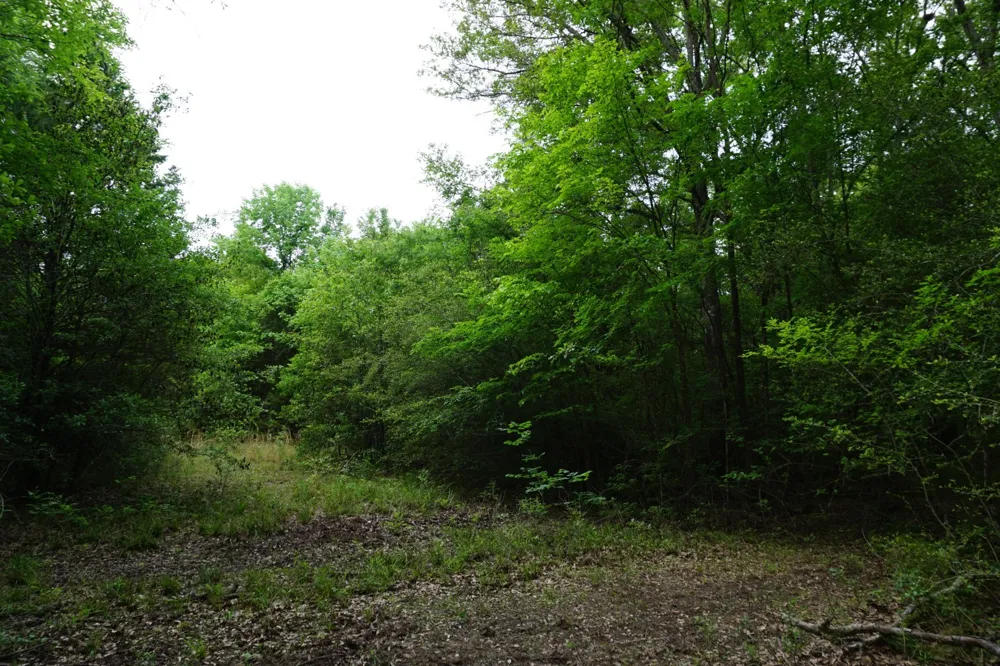 11919 County Road 1200 Malakoff, TX 75148
