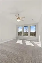 19214 Trinity Terrace Lane Spring, TX 77379