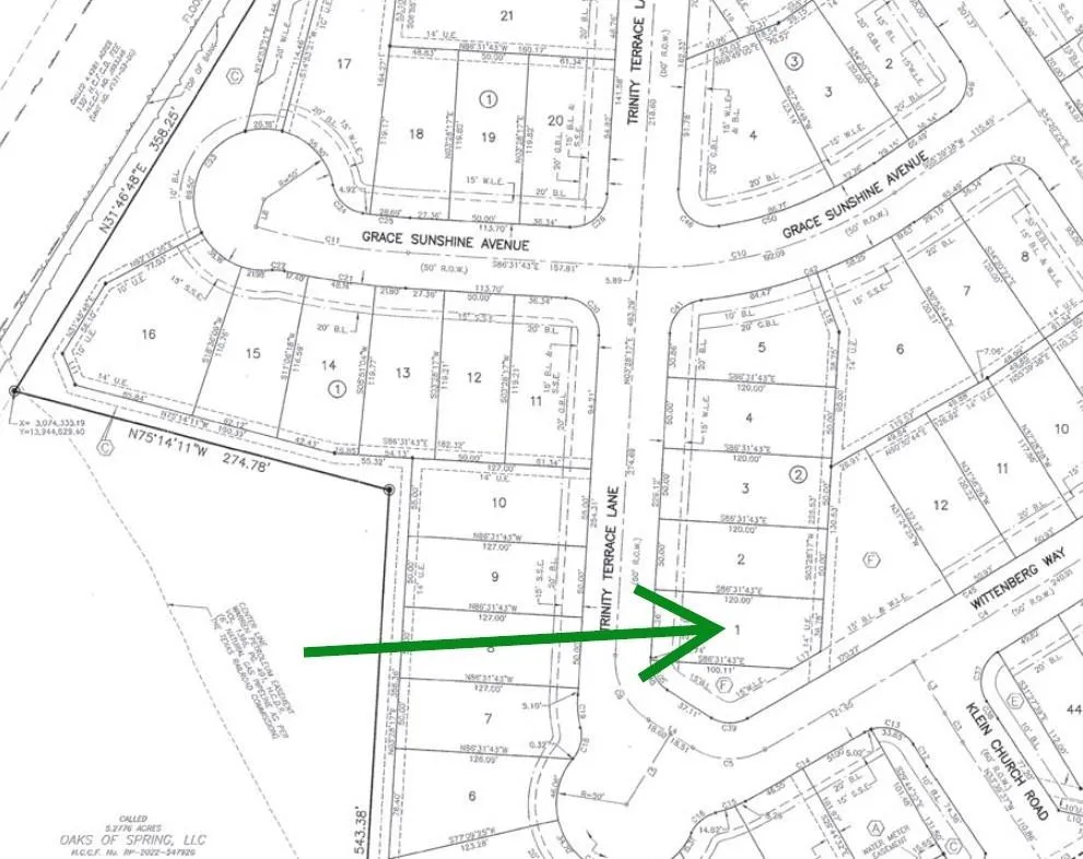 19214 Trinity Terrace Lane Spring, TX 77379