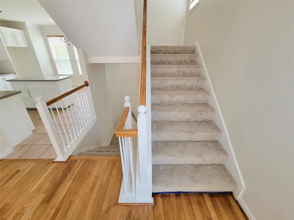 34 Waugh #B Houston, TX 77007
