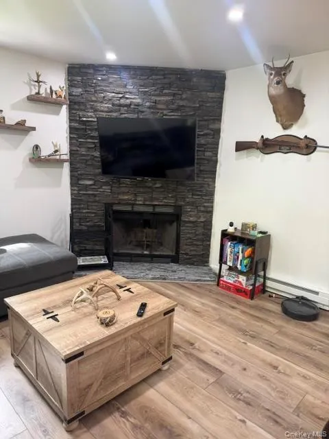 315 Tweedie Road East Branch, NY 13783