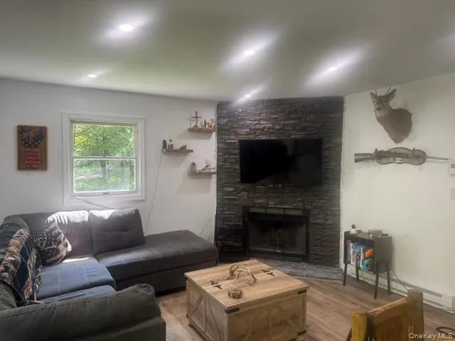315 Tweedie Road East Branch, NY 13783