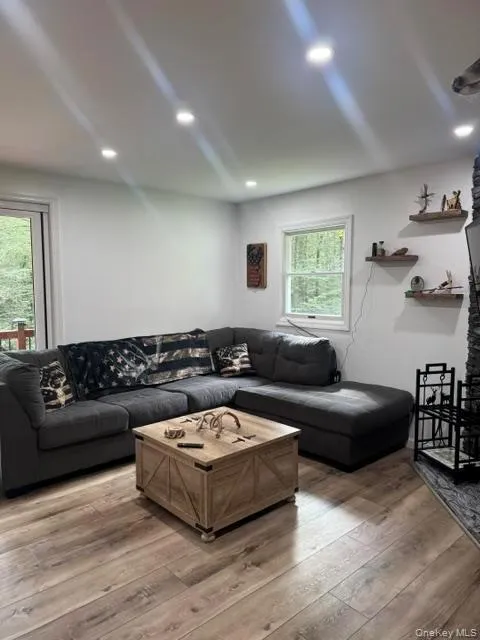315 Tweedie Road East Branch, NY 13783