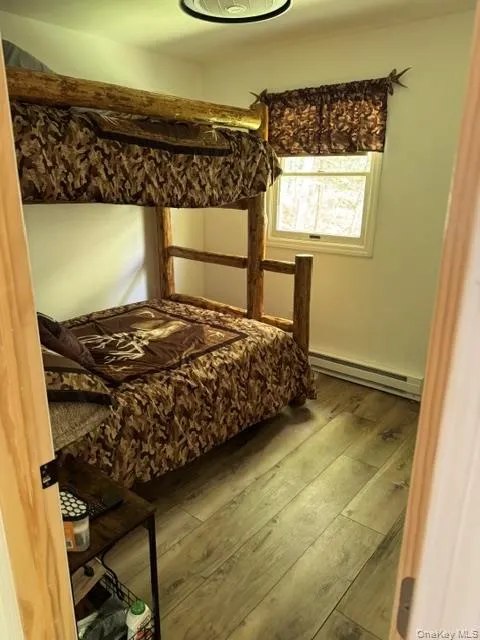 315 Tweedie Road East Branch, NY 13783