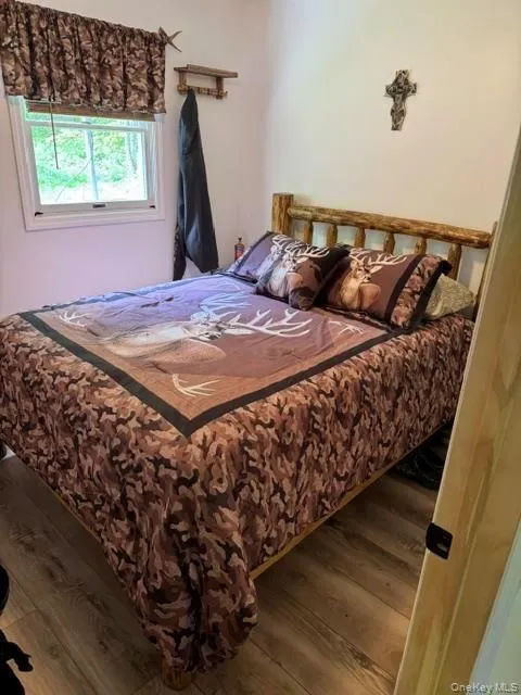 315 Tweedie Road East Branch, NY 13783