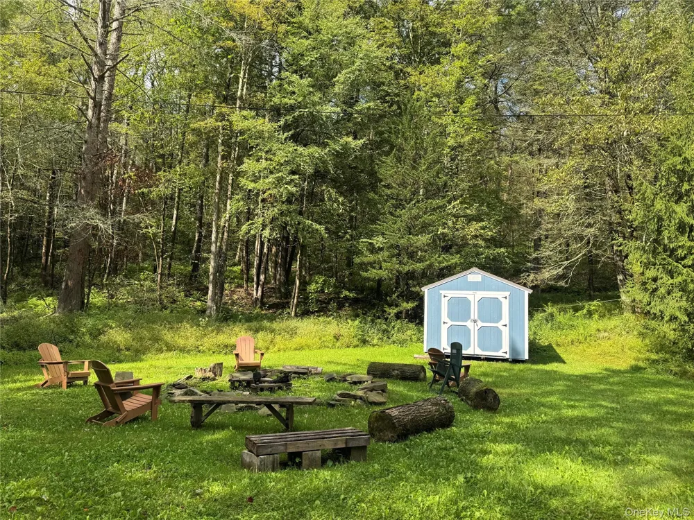 315 Tweedie Road East Branch, NY 13783