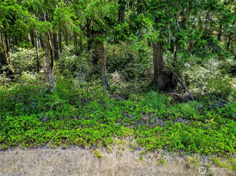 10205 Eckenstam Johnson Road