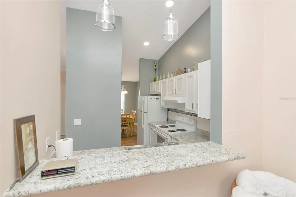 3909 CARROLL CYPRESS COURT Tampa, FL 33614