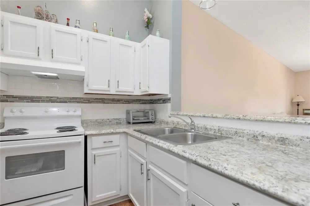3909 CARROLL CYPRESS COURT Tampa, FL 33614