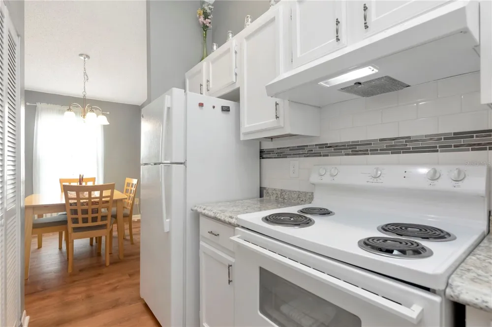 3909 CARROLL CYPRESS COURT Tampa, FL 33614