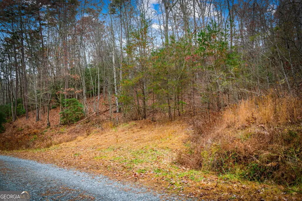 5.97AC Bullen Gap RD Blue Ridge, GA 30513